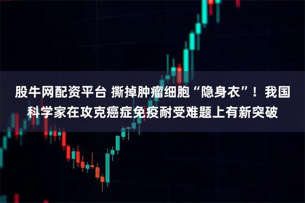 股牛网配资平台 撕掉肿瘤细胞“隐身衣”！我国科学家在攻克癌症免疫耐受难题上有新突破