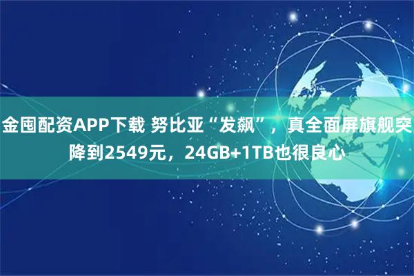 金囤配资APP下载 努比亚“发飙”，真全面屏旗舰突降到2549元，24GB+1TB也很良心